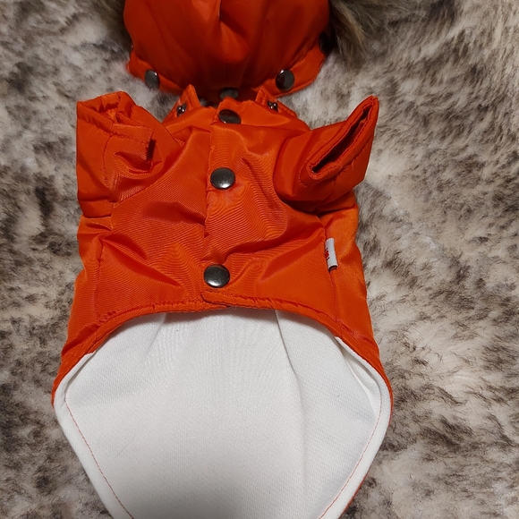 Dog Jacket XS - Picture 7 of 8
